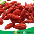 organic dried goji berry ningxia wolfberry Chinese red goji with Chinese red goji with Kosher FDA Certified